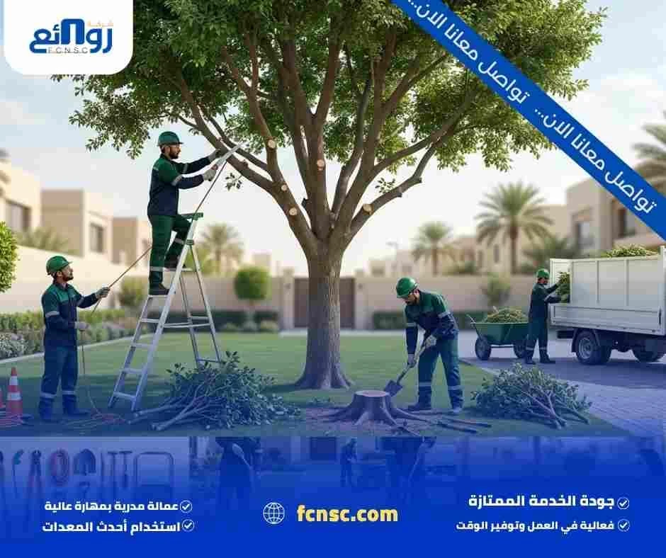 شركـــة قص وإزالة أشجــــــــار بالــرياض