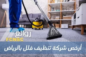 أرخص شركة تنظيف بالرياض