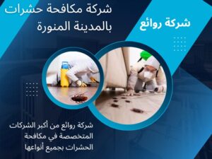 شركة اعلانات مكافحة حشرات بالمدينة المنورة: التميز في الخدمة والاحترافية