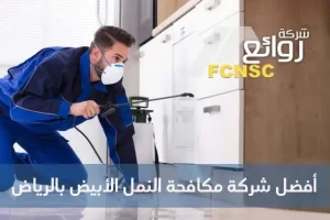 أفضل شركة مكافحة النمل الأبيض بالرياض