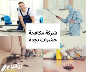 أهم أرقام شركة مكافحة حشرات بجدة أفضل خدمات مكافحة الحشرات