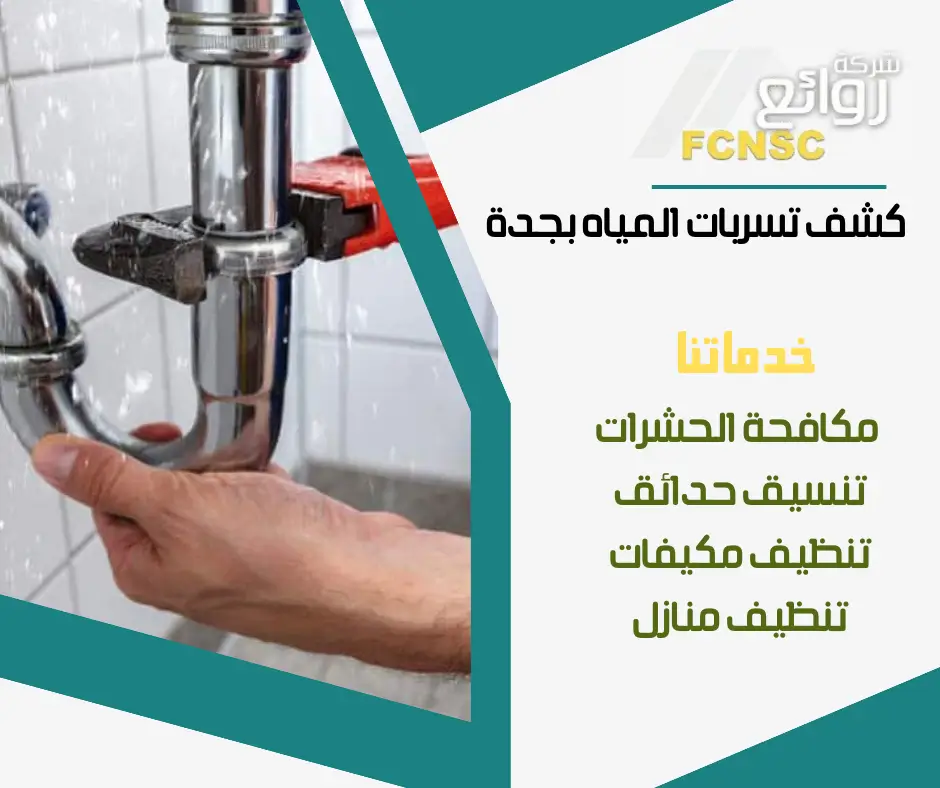 إصلاح التسربات