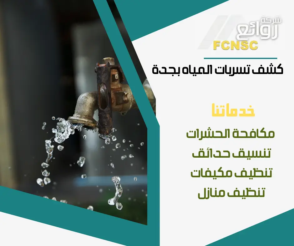 شركة كشف التسربات بجدة 