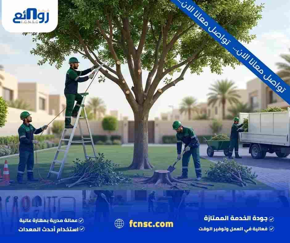 شركـــة قص وإزالة أشجــــــــار بالــرياض