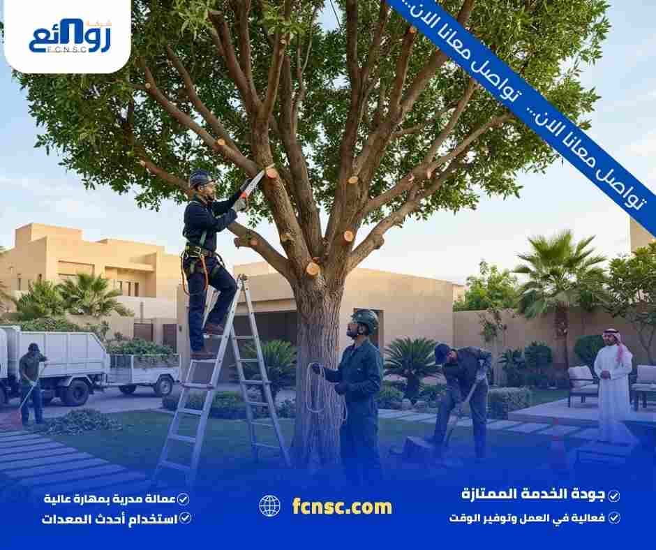 شركـــة قص وإزالة أشجــــــــار بالــرياض