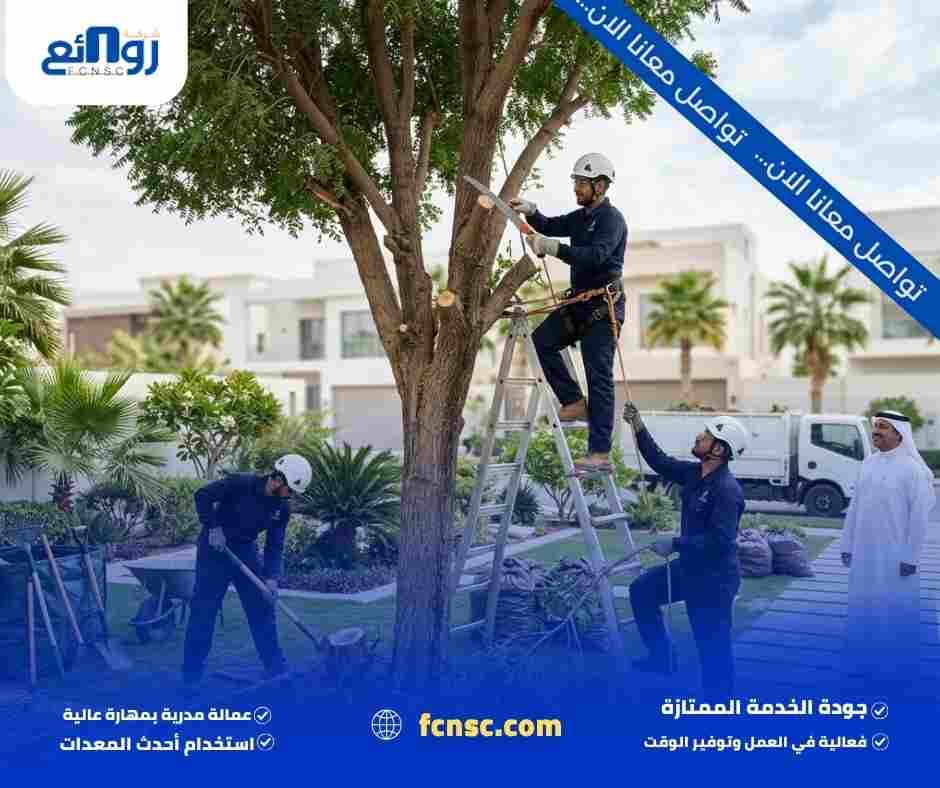قص الأشجار الكبيرة بالرياض