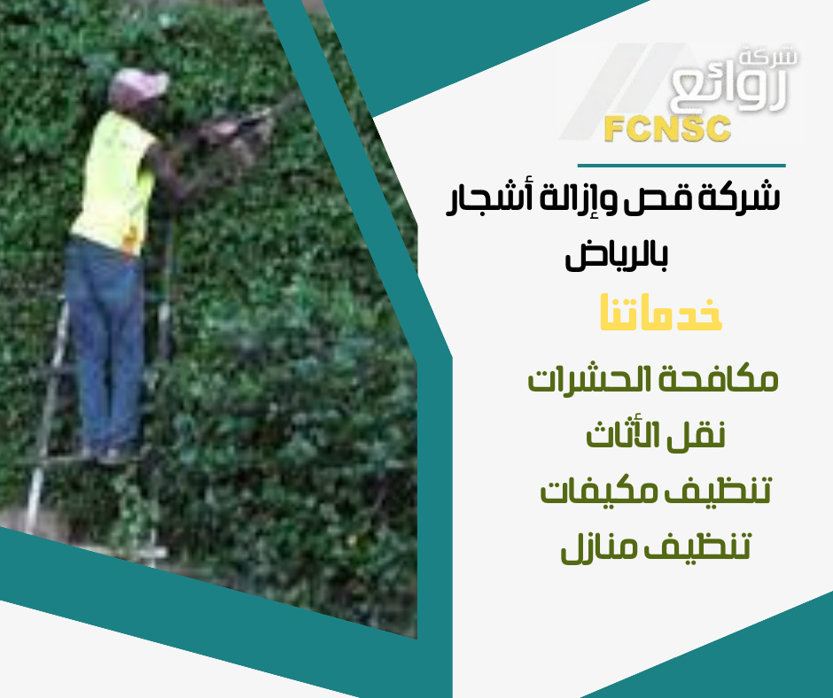 شركة قص وإزالة أشجار بالرياض 2026 4 شركة تقليم أشجار بالرياض