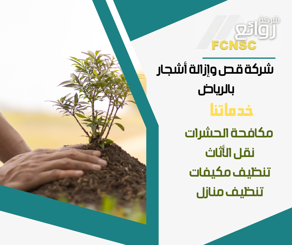 شركة قص وإزالة أشجار بالرياض 2026 2 شركة تقليم أشجار
