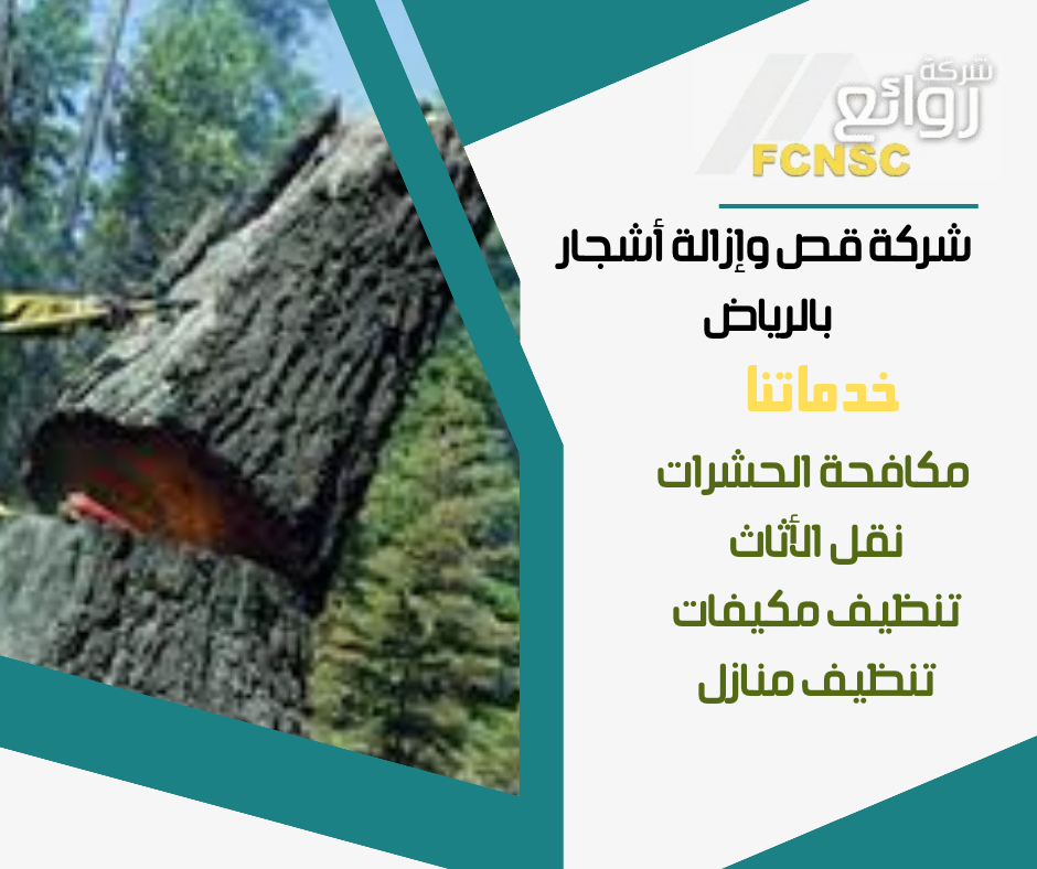 شركة قص وإزالة أشجار بالرياض 2026 3 قطع وإزالة أشجار