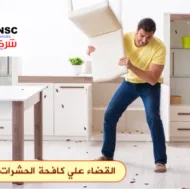 مكافحة الفئران في مسقط