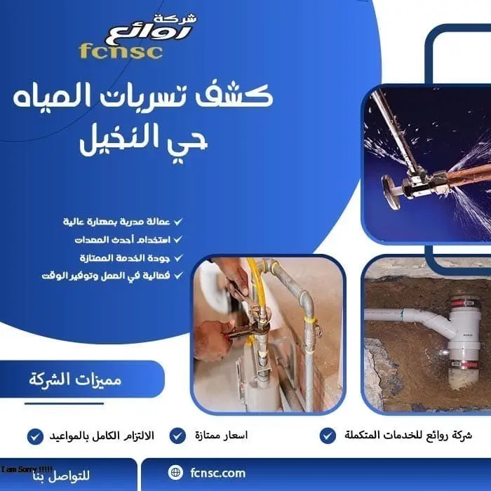 كشف تسربات المياه حي النخيل