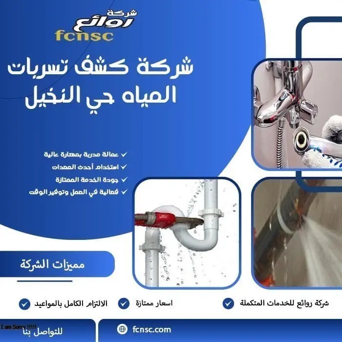 شركة كشف تسربات المياه حي النخيل